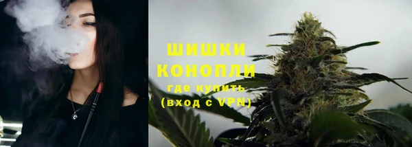 PSILOCYBIN Верхний Тагил