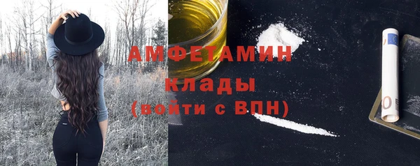 ПСИЛОЦИБИНОВЫЕ ГРИБЫ Верея